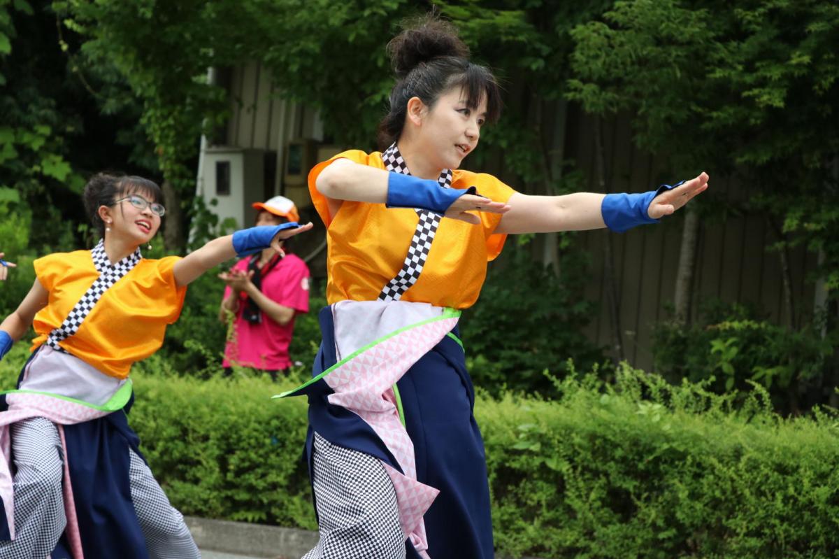 奥州前沢よさこいFesta15その2（奥州前沢よさこいフェスタ2019) 2019/07/14