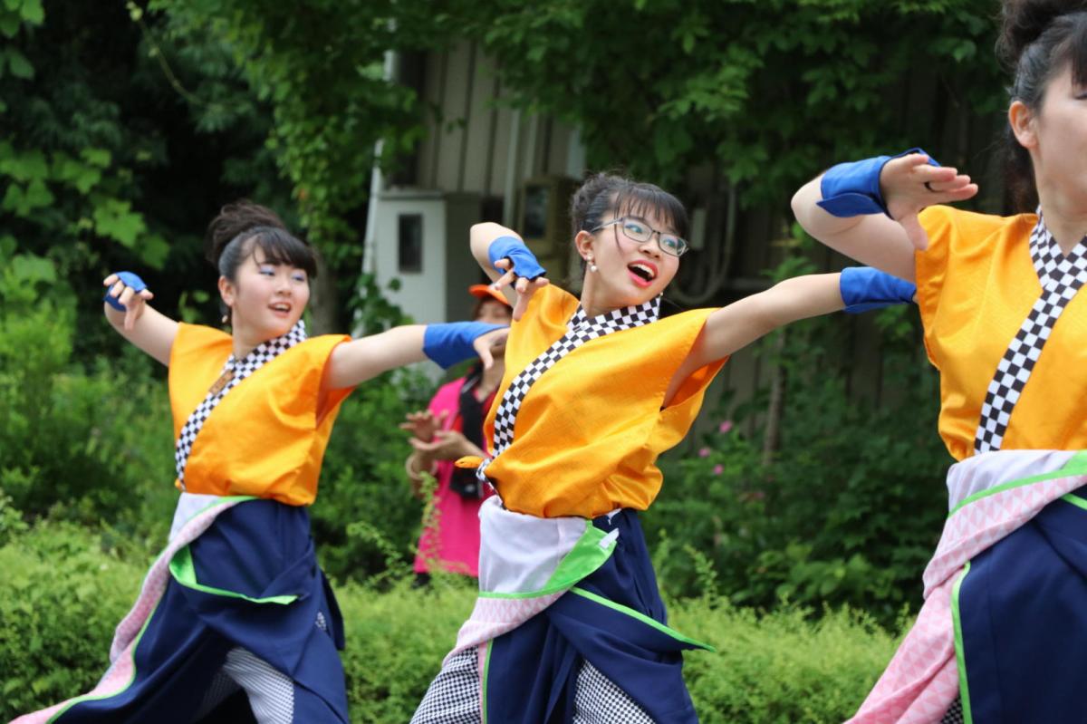 奥州前沢よさこいFesta15その2（奥州前沢よさこいフェスタ2019) 2019/07/14