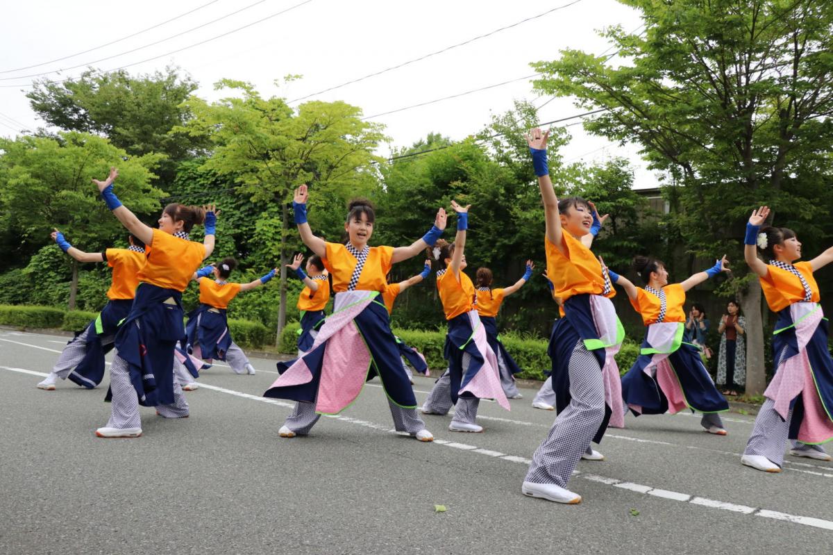 奥州前沢よさこいFesta15その2（奥州前沢よさこいフェスタ2019) 2019/07/14