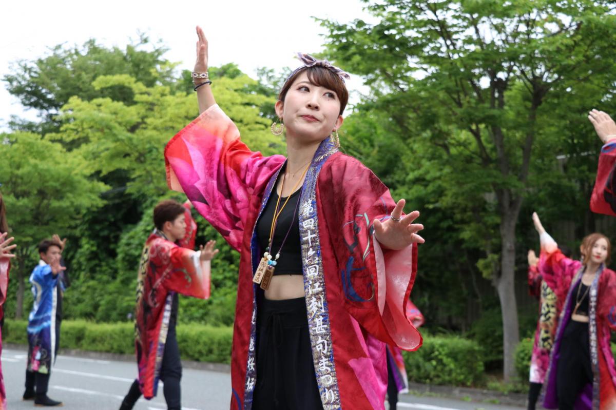 奥州前沢よさこいFesta15その2（奥州前沢よさこいフェスタ2019) 2019/07/14