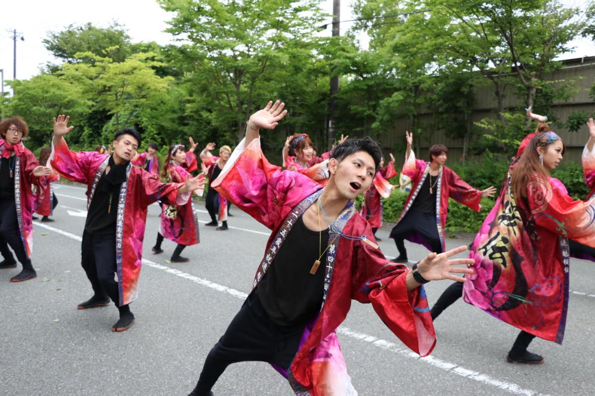 奥州前沢よさこいFesta15その2（奥州前沢よさこいフェスタ2019) 2019/07/14