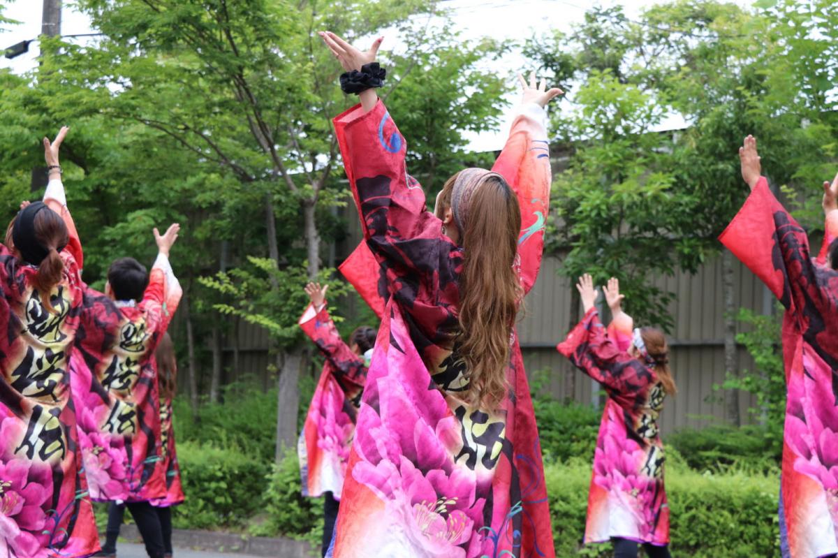 奥州前沢よさこいFesta15その2（奥州前沢よさこいフェスタ2019) 2019/07/14