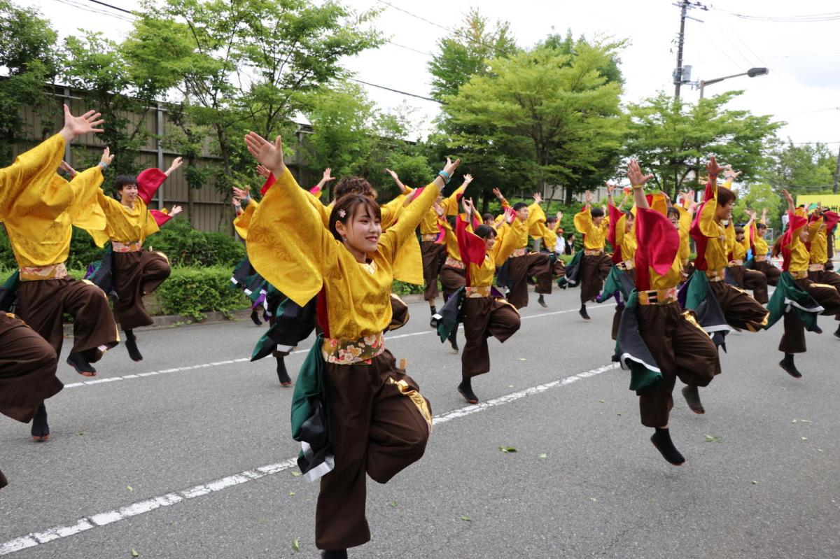 奥州前沢よさこいFesta15その2（奥州前沢よさこいフェスタ2019) 2019/07/14