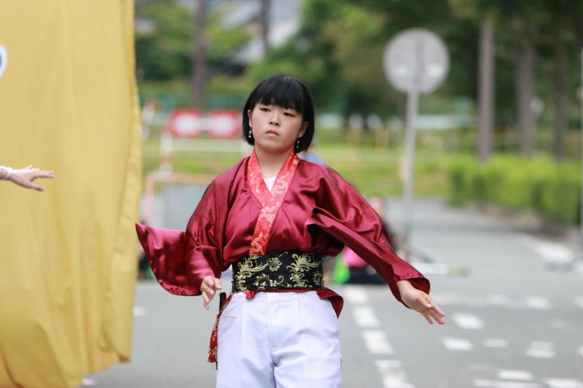 奥州前沢よさこいFesta15その2（奥州前沢よさこいフェスタ2019) 2019/07/14