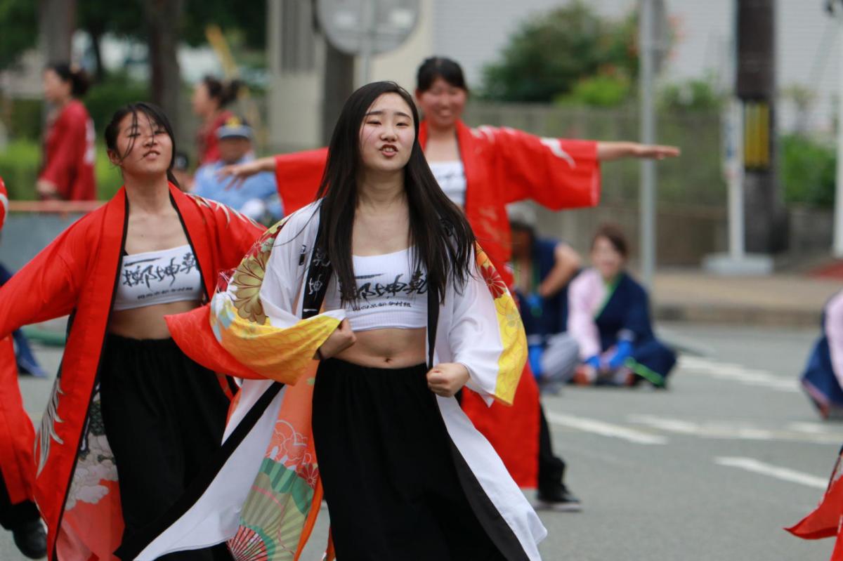 奥州前沢よさこいFesta15その2（奥州前沢よさこいフェスタ2019) 2019/07/14