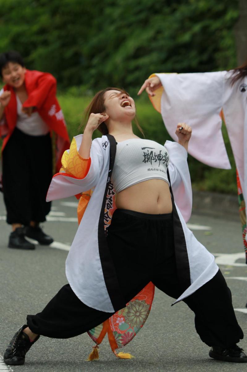 奥州前沢よさこいFesta15その2（奥州前沢よさこいフェスタ2019) 2019/07/14