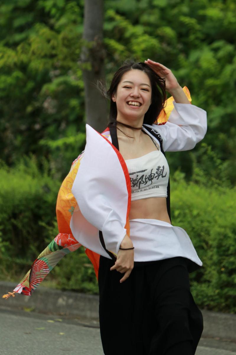 奥州前沢よさこいFesta15その2（奥州前沢よさこいフェスタ2019) 2019/07/14