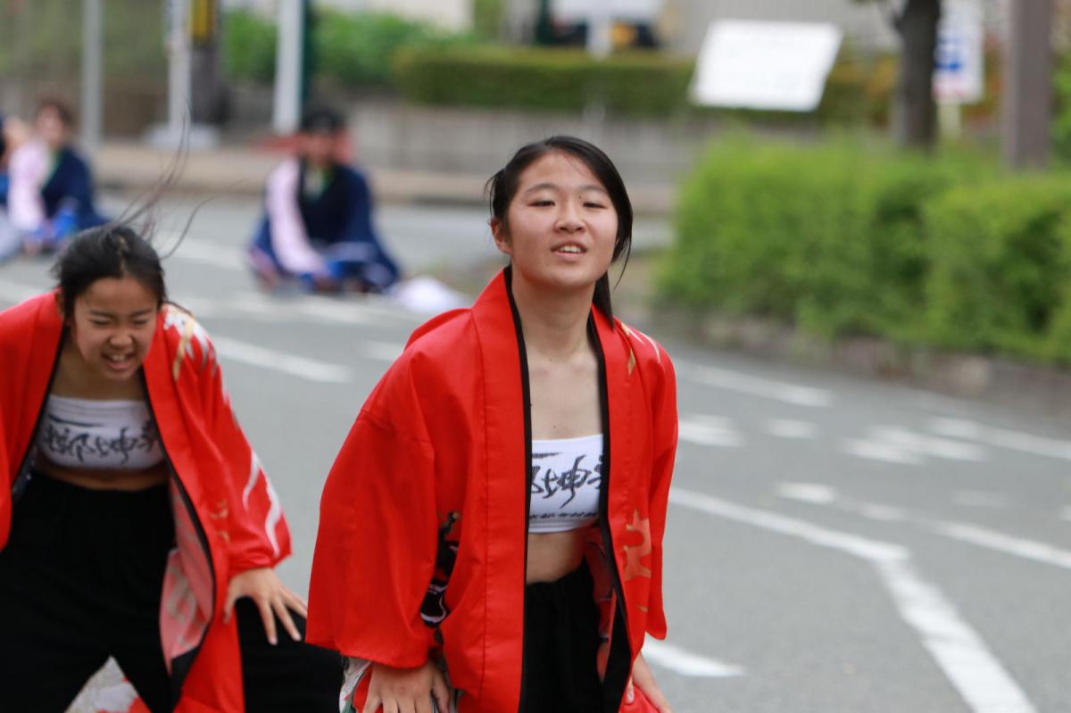 奥州前沢よさこいFesta15その2（奥州前沢よさこいフェスタ2019) 2019/07/14