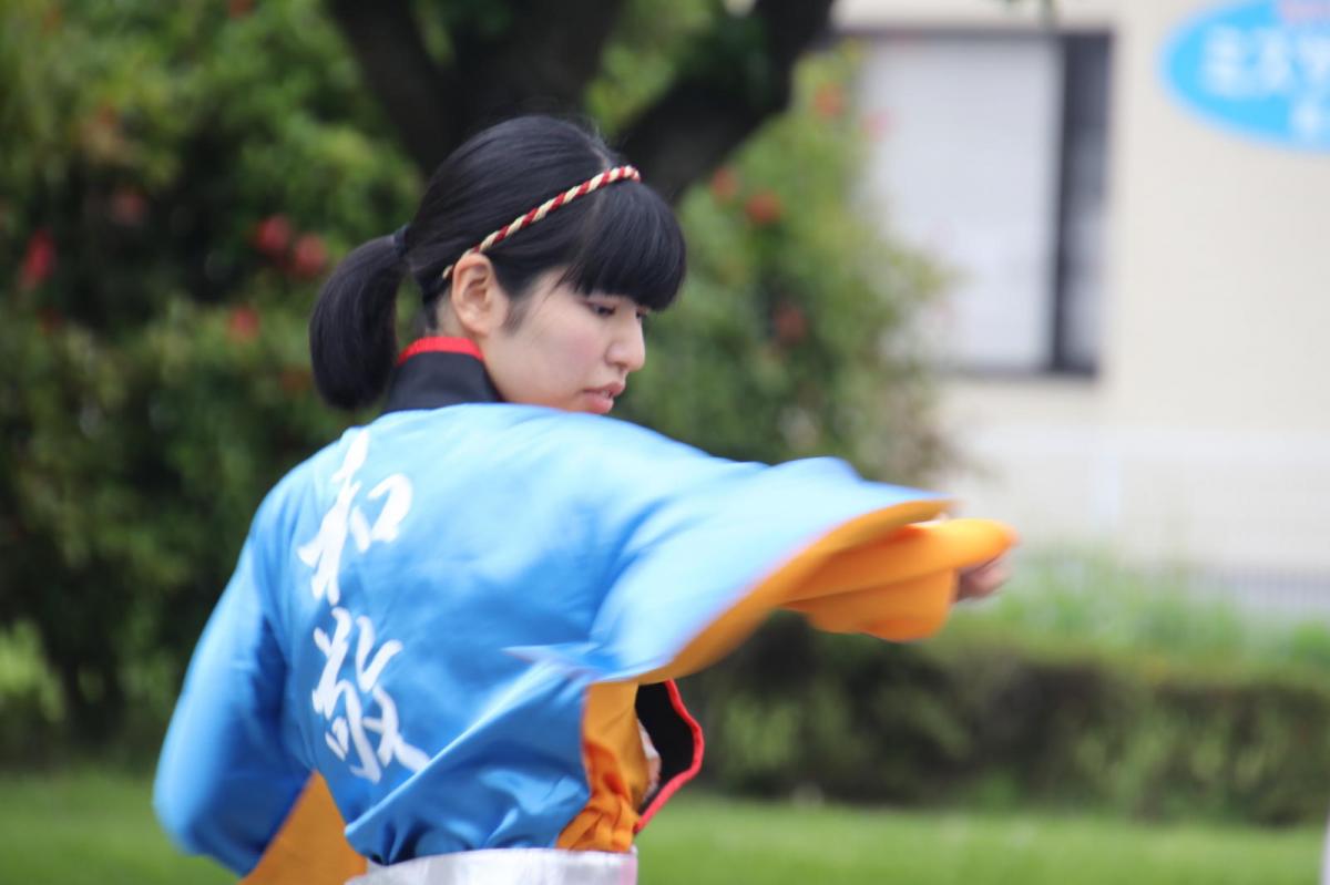 奥州前沢よさこいFesta15その3（奥州前沢よさこいフェスタ2019) 2019/07/14