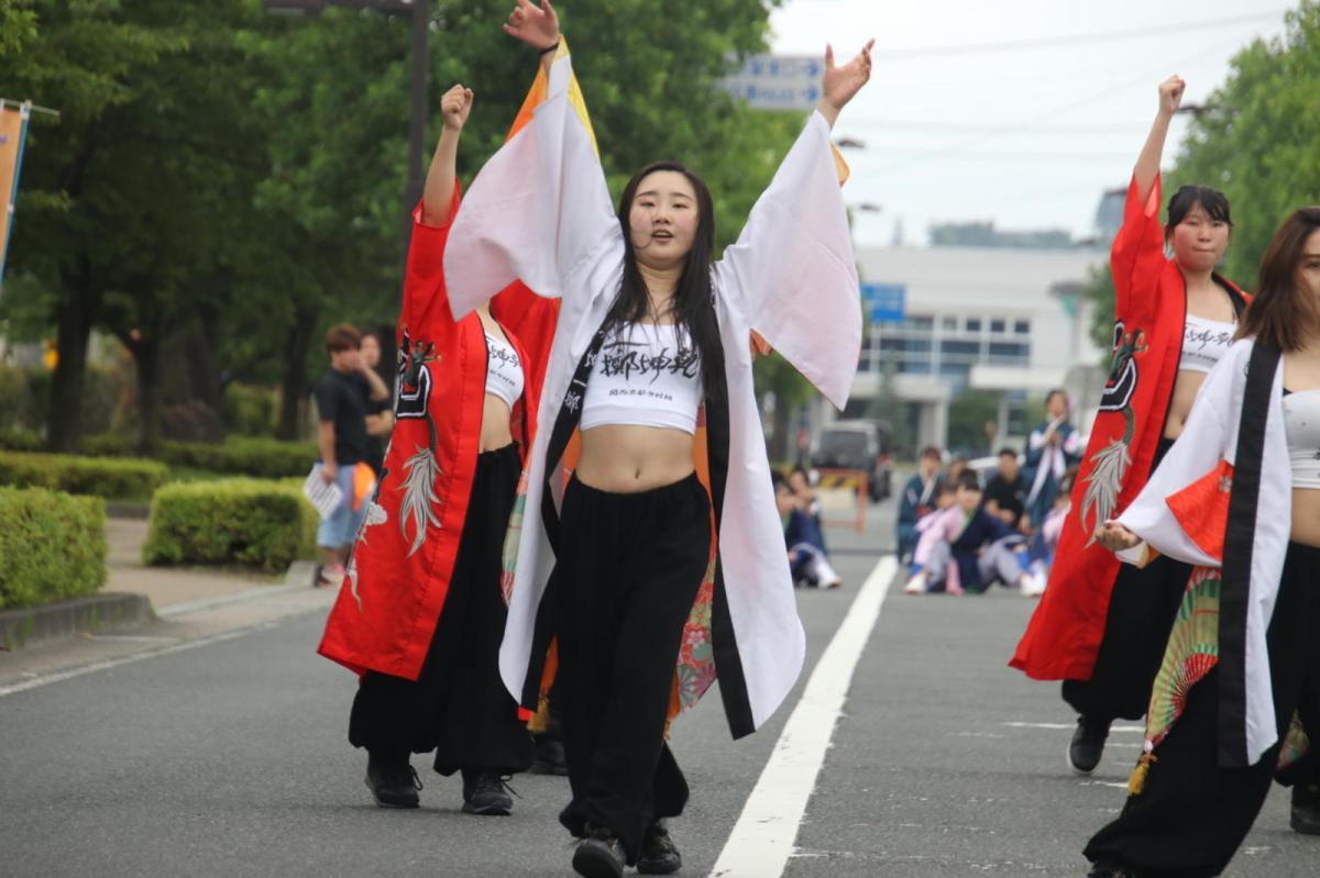 奥州前沢よさこいFesta15その3（奥州前沢よさこいフェスタ2019) 2019/07/14