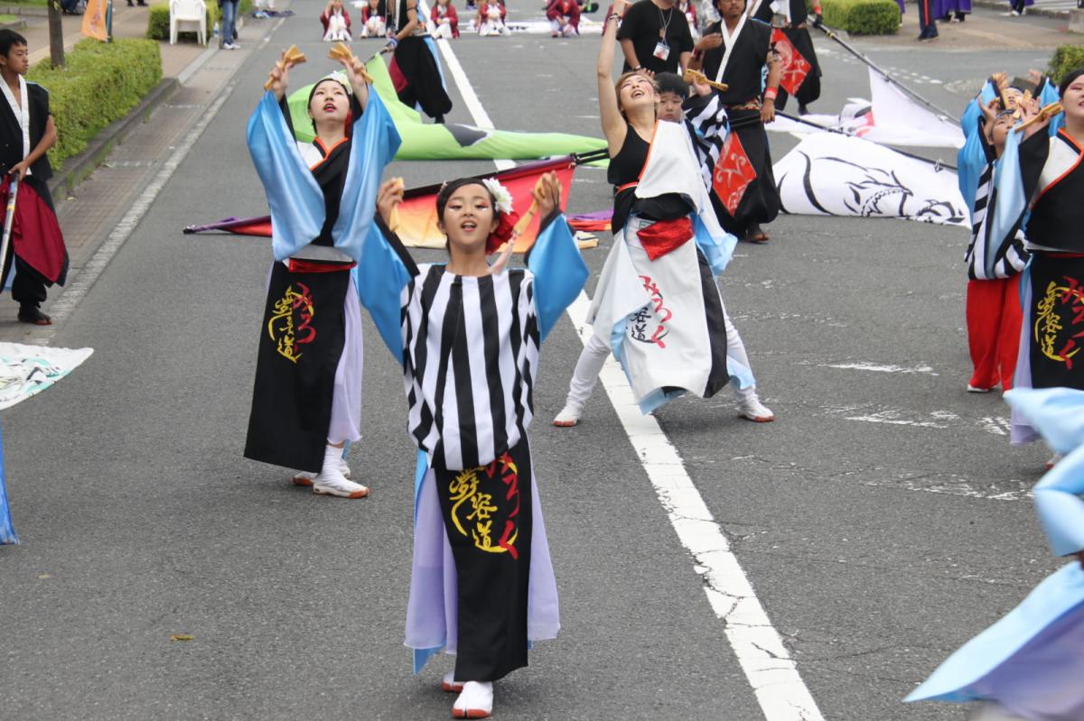 奥州前沢よさこいFesta15その3（奥州前沢よさこいフェスタ2019) 2019/07/14