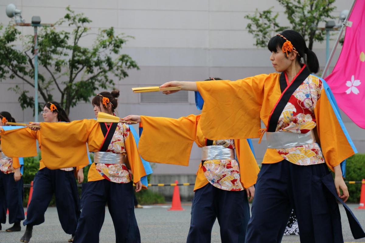 奥州前沢よさこいFesta15そ4（奥州前沢よさこいフェスタ2019) 2019/07/14