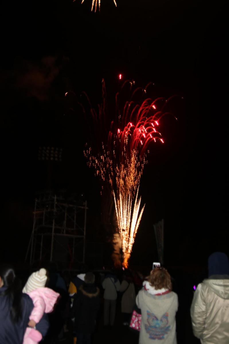 第31回 奥州・胆沢「全日本農はだてのつどい」2020 その2 2020/02/15