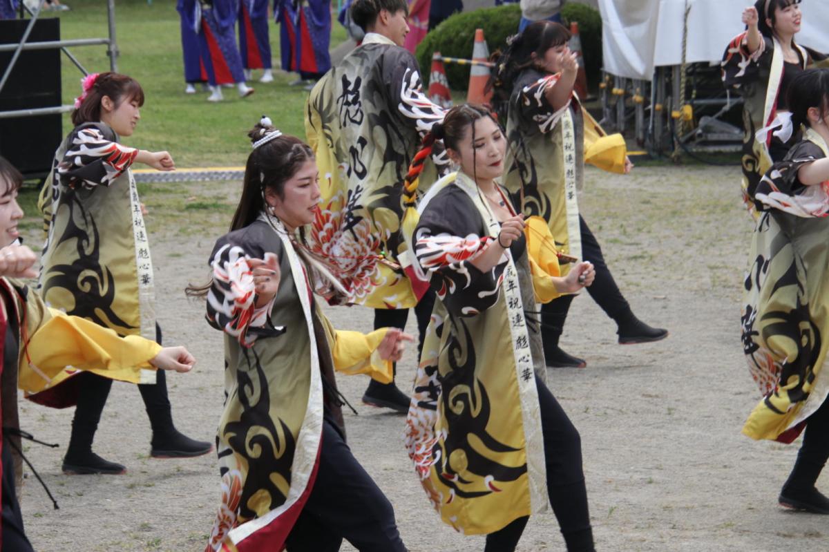 第50回江刺甚句まつり2023その3 2023/05/03