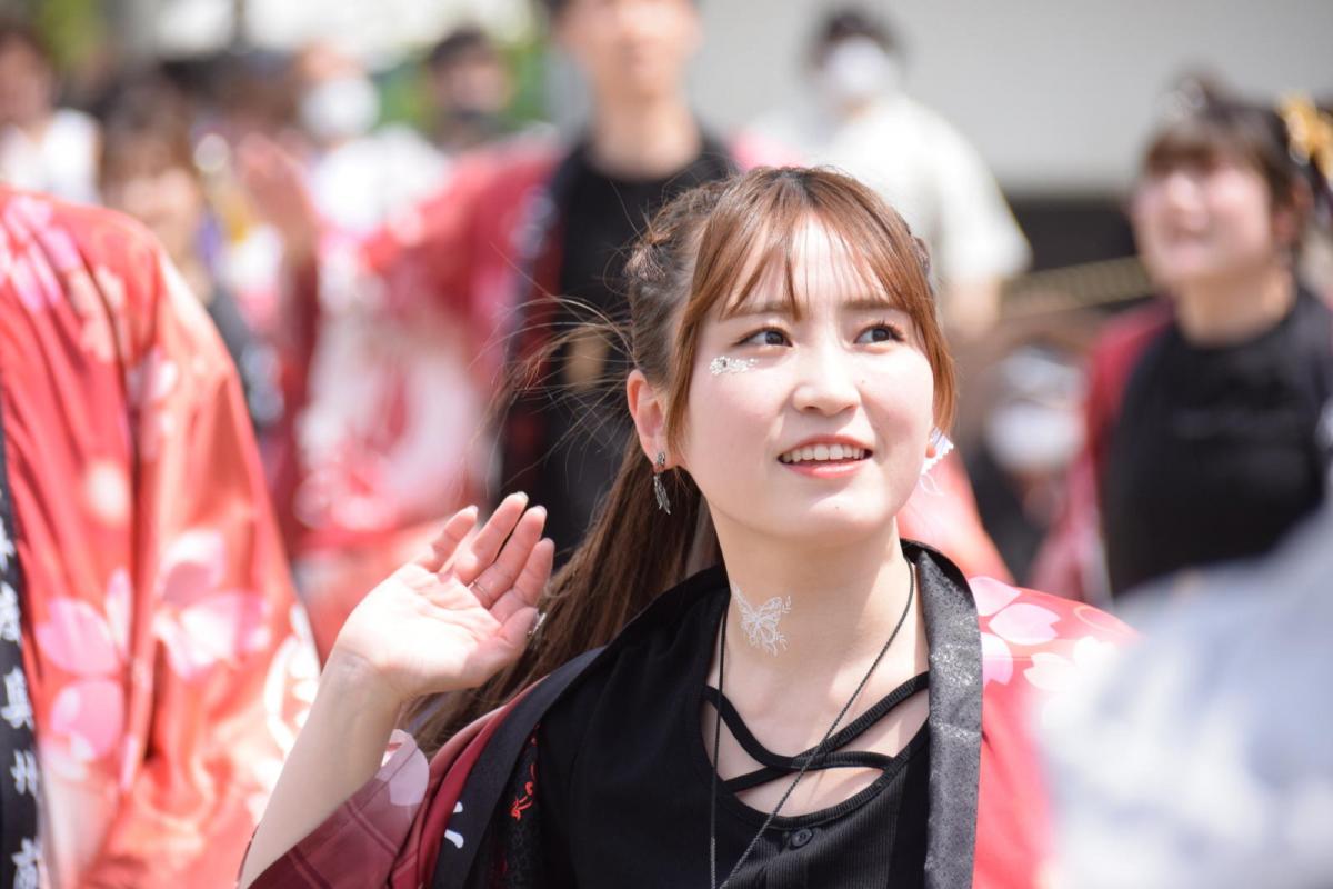 第50回江刺甚句まつり2023その5 2023/05/04 奥州市どっとこむイベント写真館[写真915]