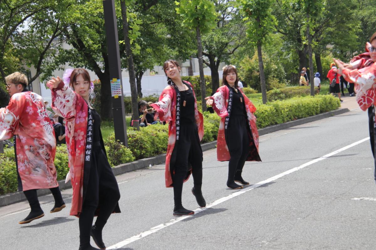 奥州前沢よさこいFesta16その2（奥州前沢よさこいフェスタ2023) 2023/07/09