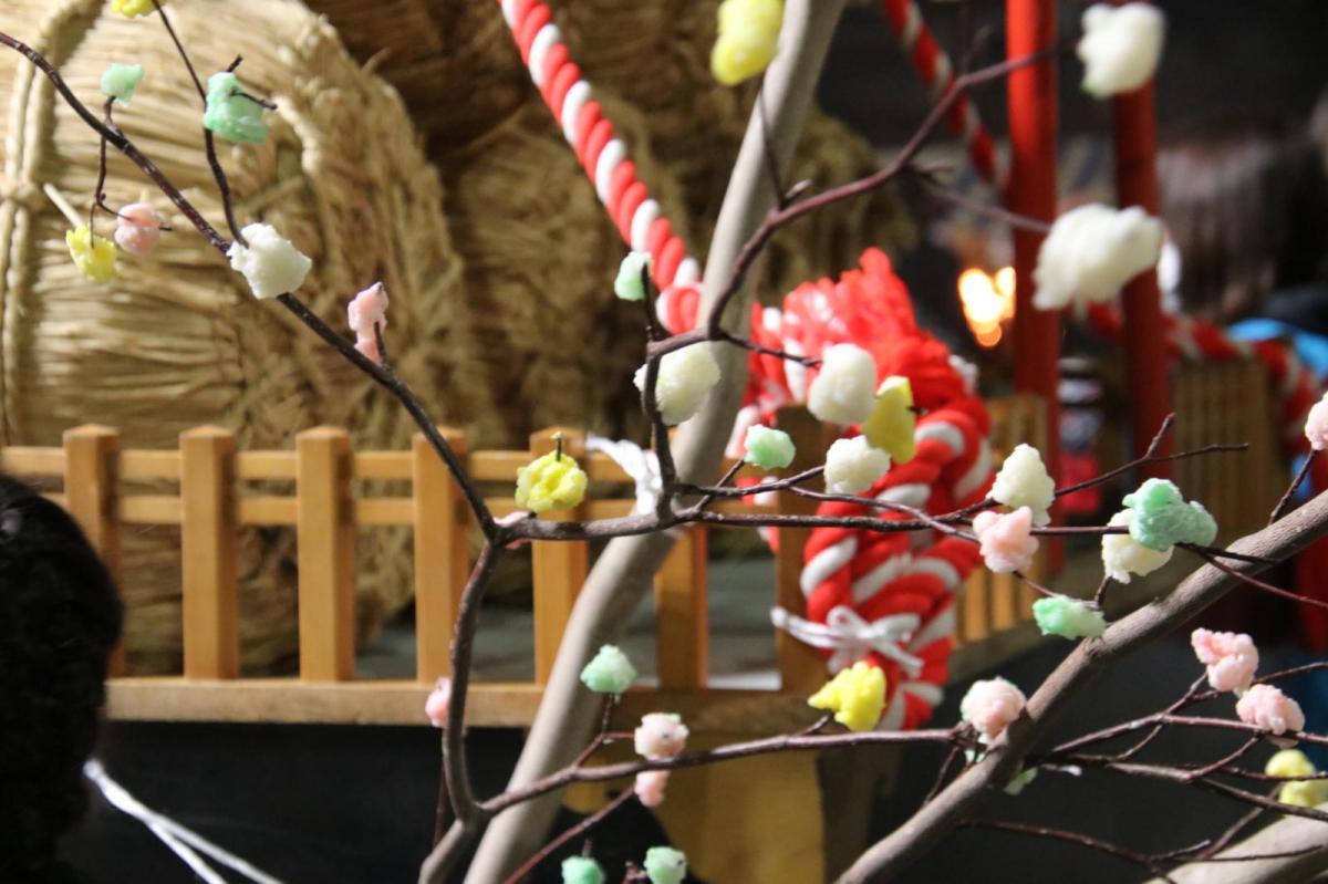 第35回 奥州・胆沢「全日本農はだてのつどい」2024 その3 2024/02/10