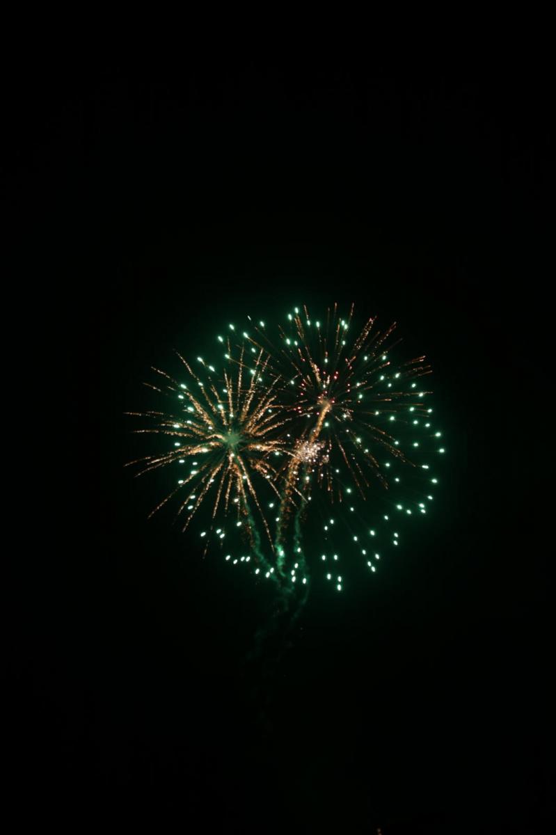 第35回 奥州・胆沢「全日本農はだてのつどい」2024 その3 2024/02/10