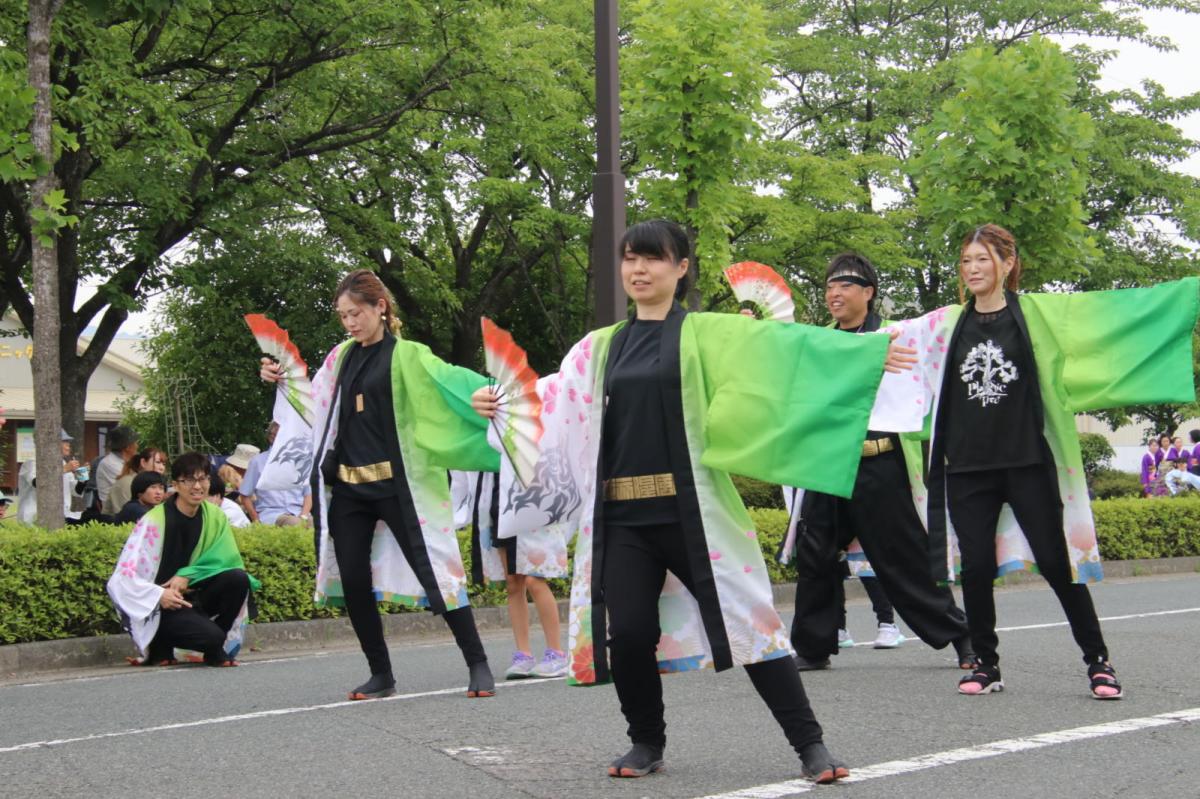 奥州前沢よさこいFesta17その2（奥州前沢よさこいフェスタ2024) 2024/07/14