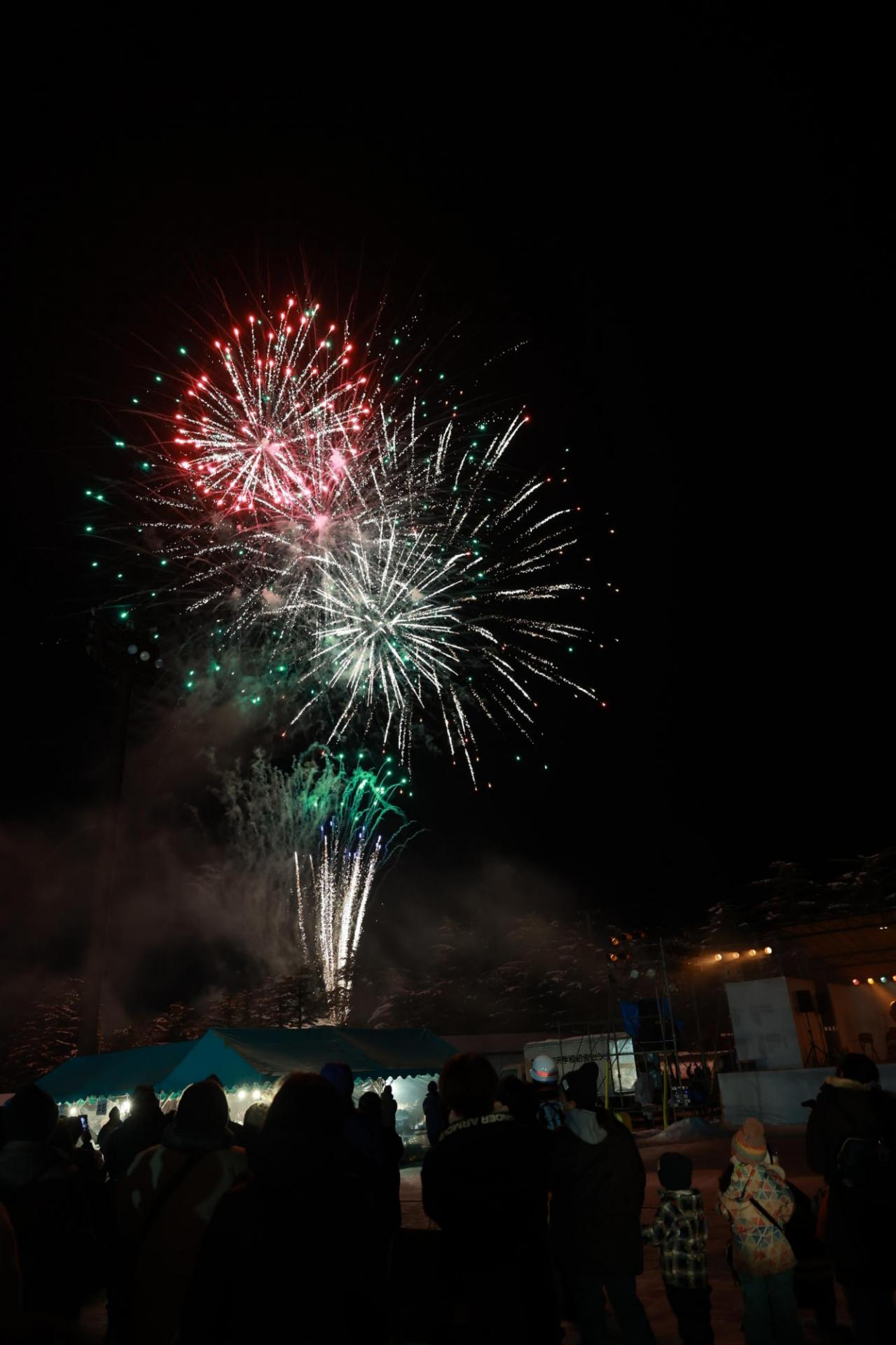 第36回 奥州・胆沢「全日本農はだてのつどい」2025 その1 2025/02/08