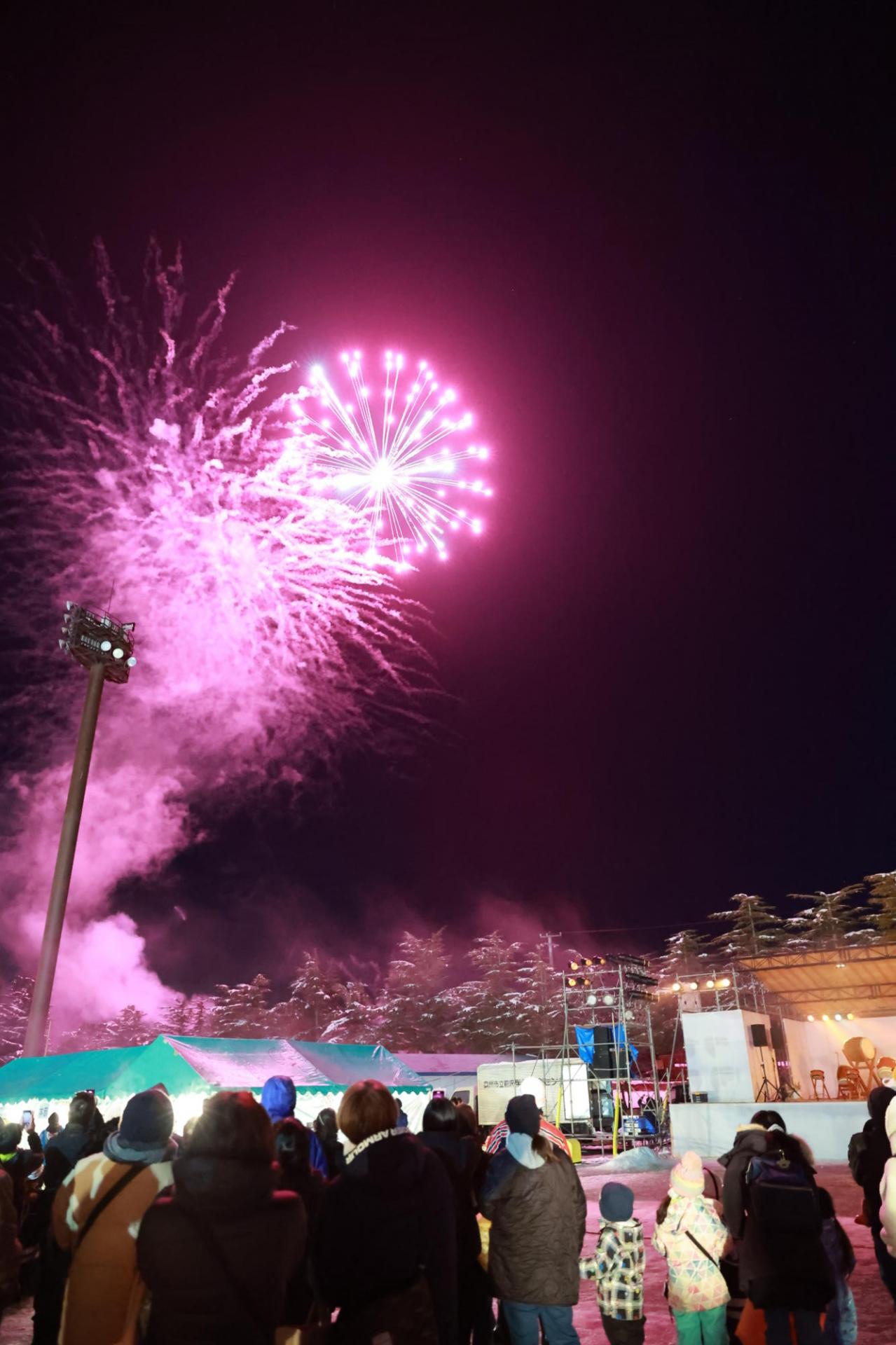 第36回 奥州・胆沢「全日本農はだてのつどい」2025 その1 2025/02/08