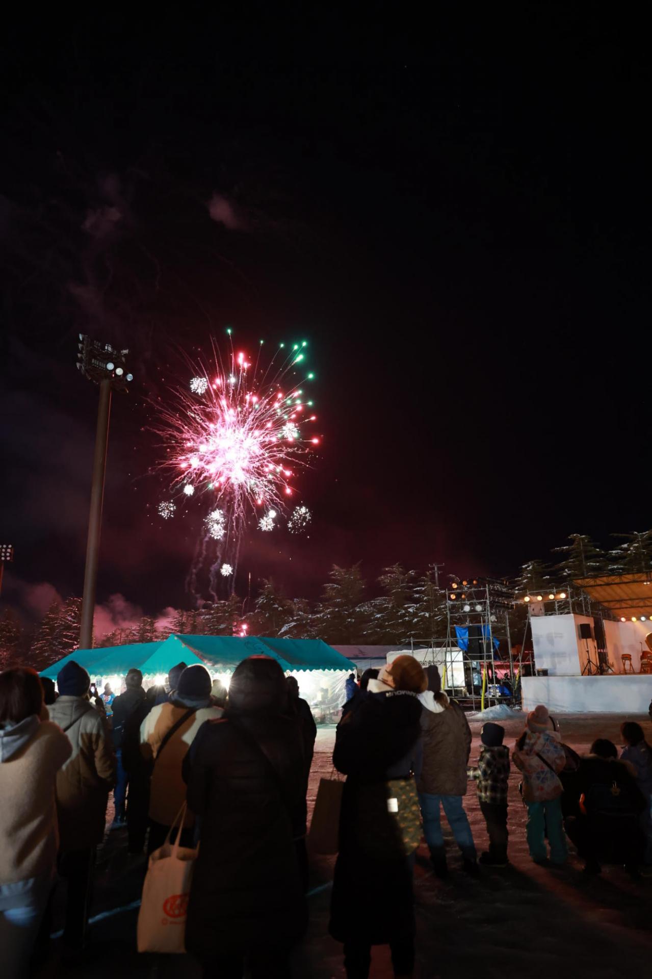 第36回 奥州・胆沢「全日本農はだてのつどい」2025 その1 2025/02/08