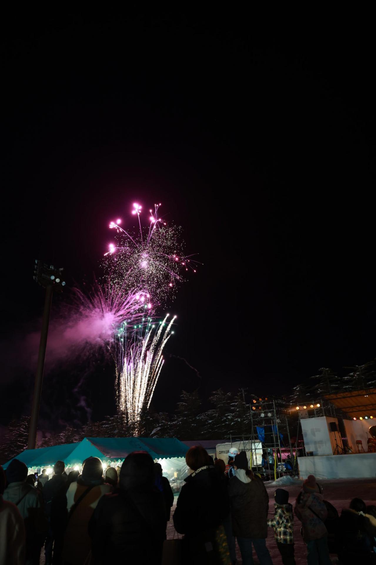 第36回 奥州・胆沢「全日本農はだてのつどい」2025 その1 2025/02/08