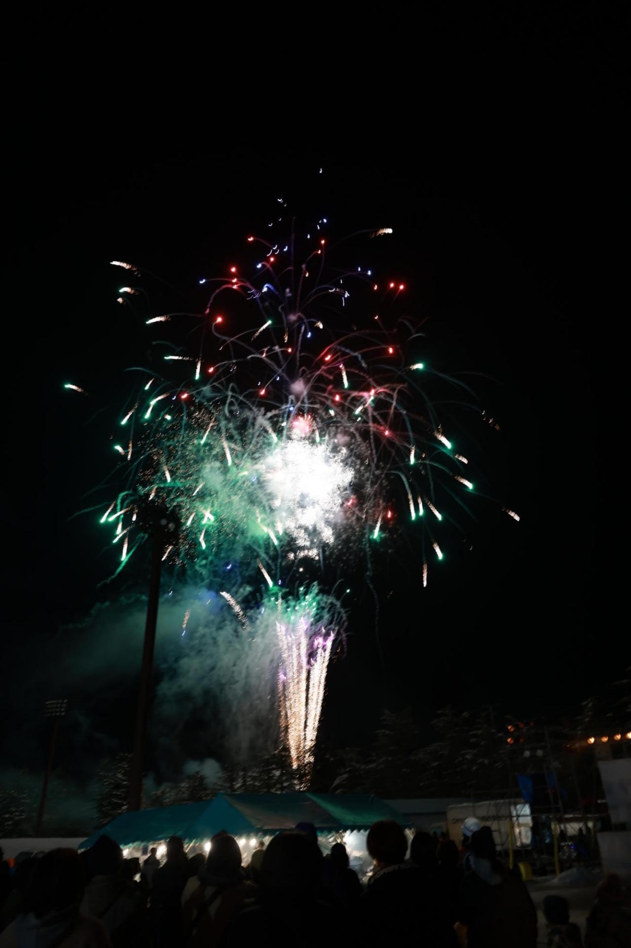 第36回 奥州・胆沢「全日本農はだてのつどい」2025 その1 2025/02/08