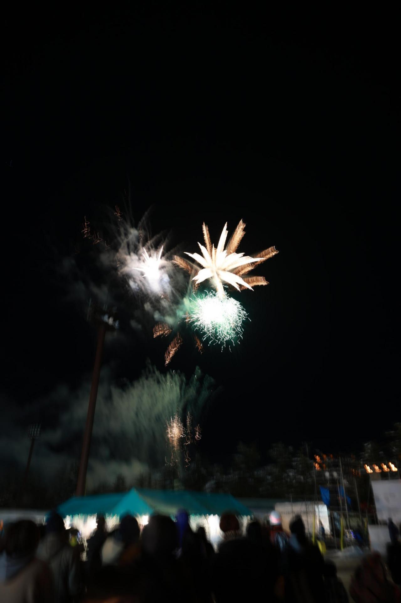 第36回 奥州・胆沢「全日本農はだてのつどい」2025 その1 2025/02/08