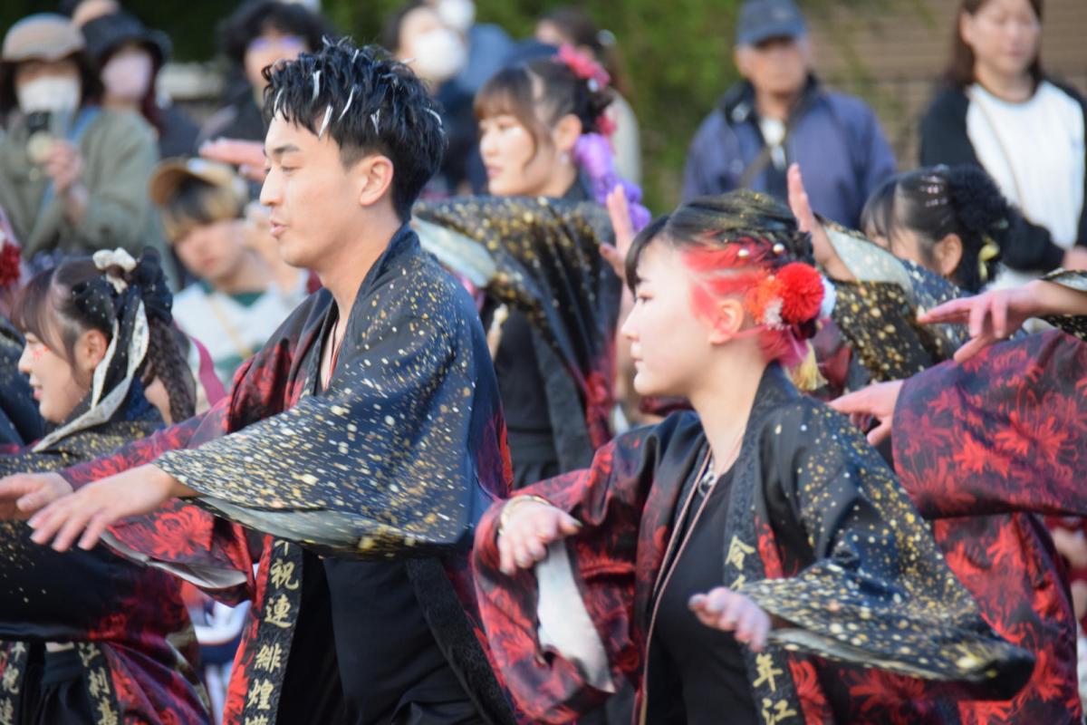 第52回江刺甚句まつり2025その1 2025/05/03