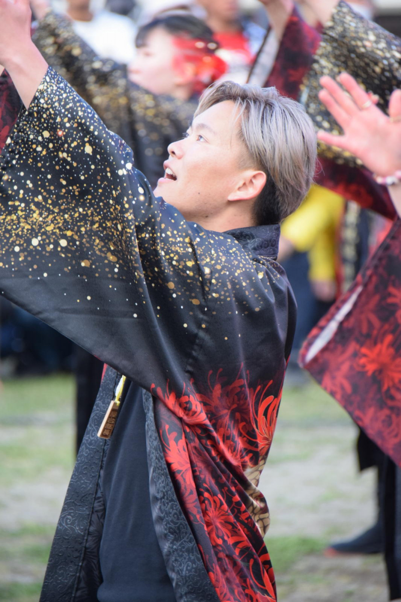 第52回江刺甚句まつり2025その1 2025/05/03