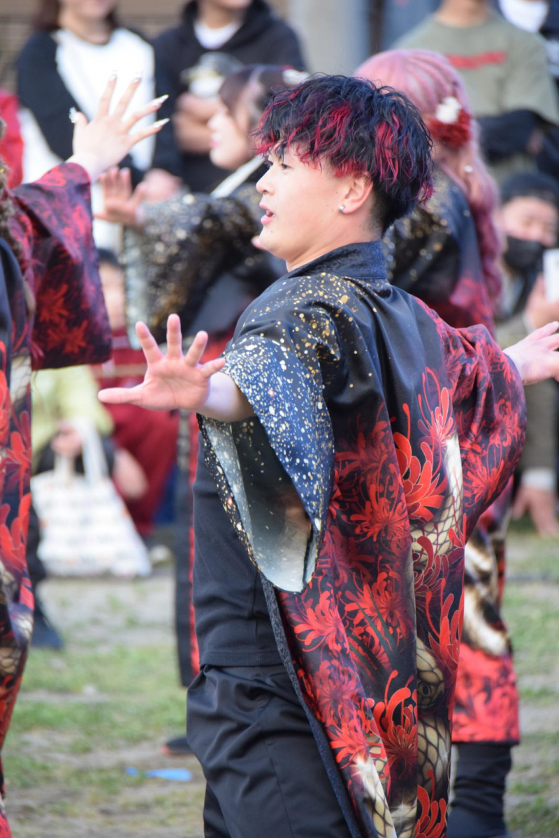 第52回江刺甚句まつり2025その1 2025/05/03