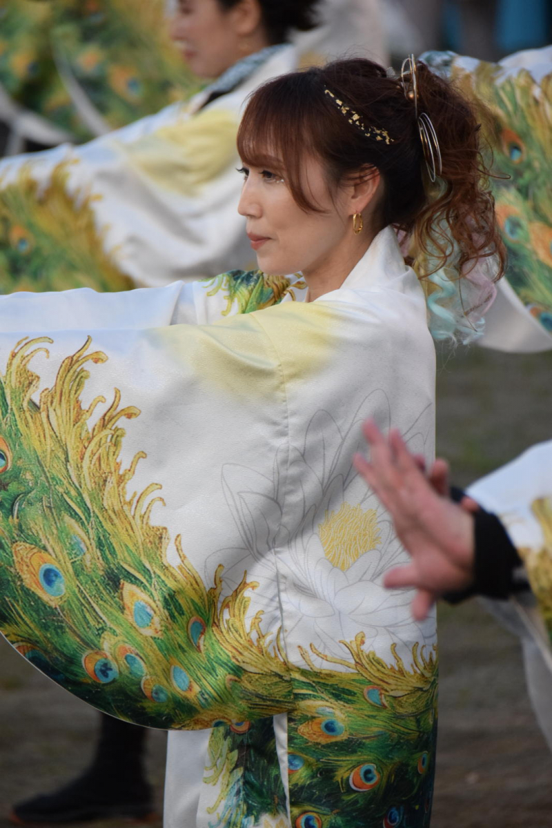 第52回江刺甚句まつり2025その1 2025/05/03