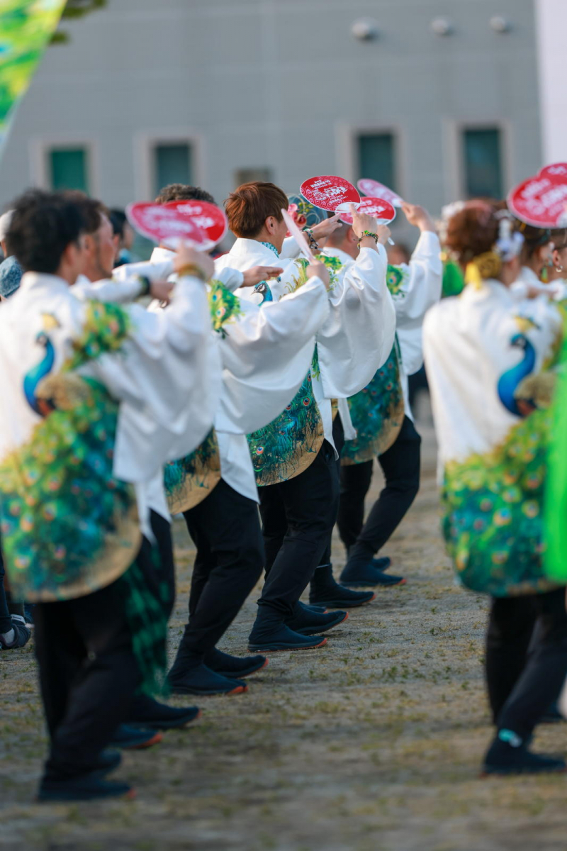 第52回江刺甚句まつり2025その2 2025/05/03