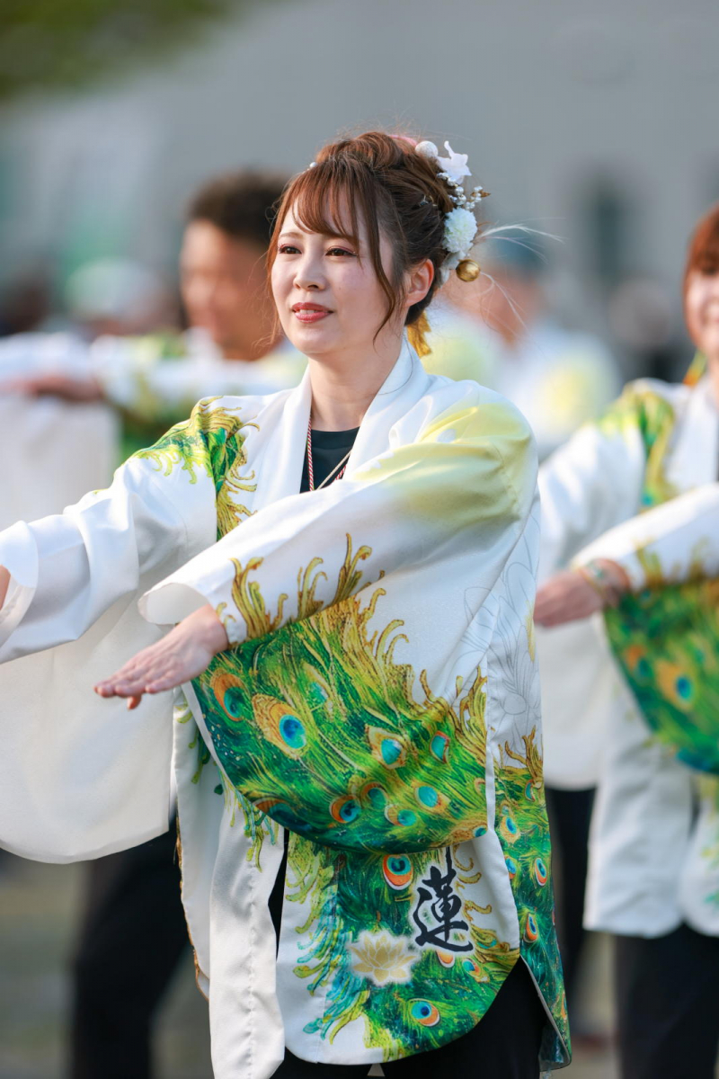 第52回江刺甚句まつり2025その2 2025/05/03