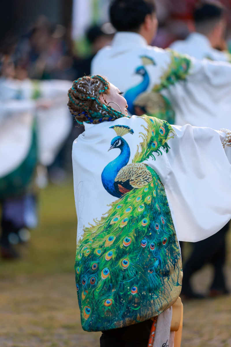 第52回江刺甚句まつり2025その2 2025/05/03