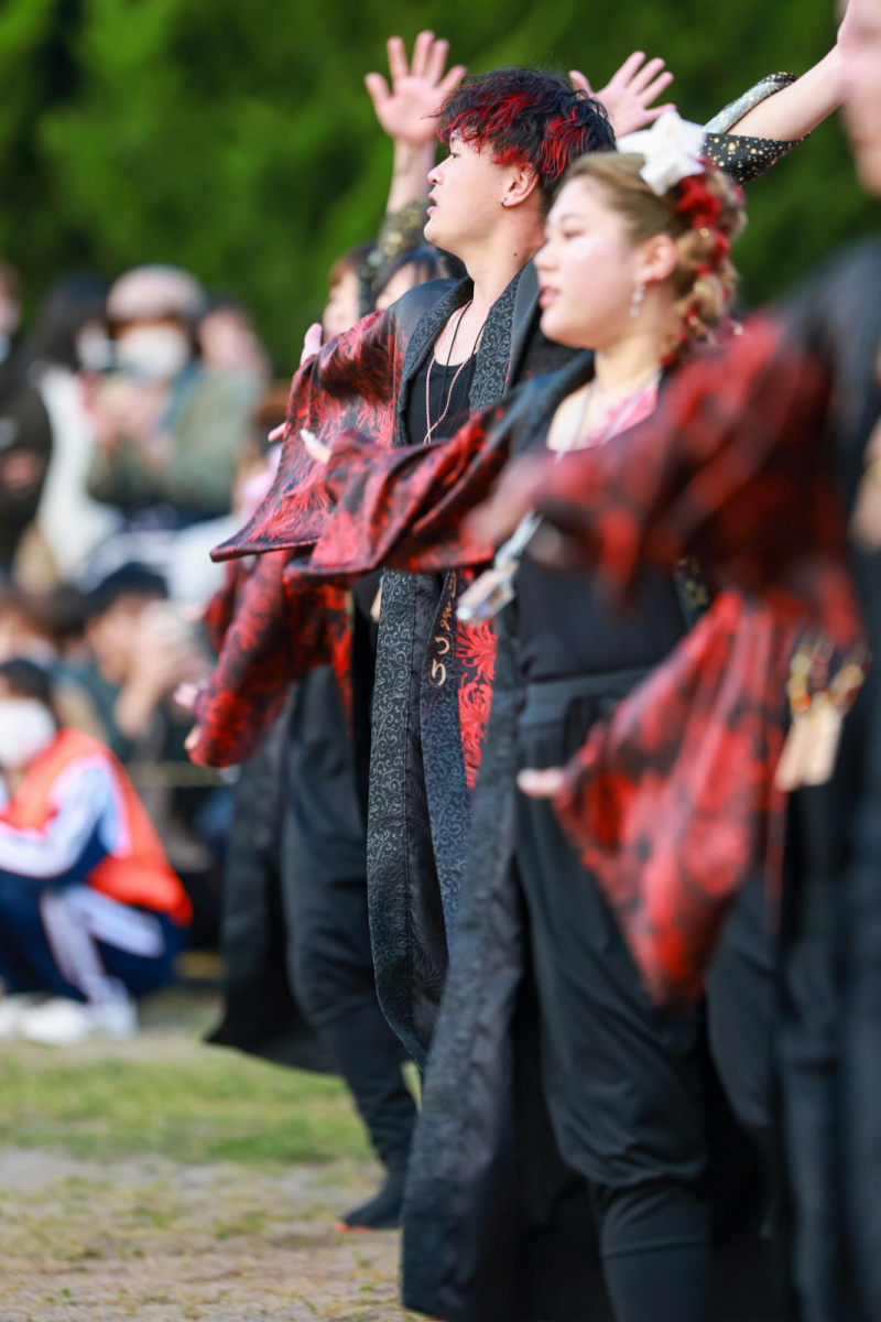 第52回江刺甚句まつり2025その2 2025/05/03