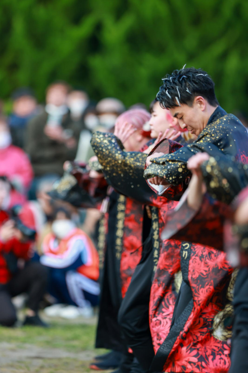 第52回江刺甚句まつり2025その2 2025/05/03