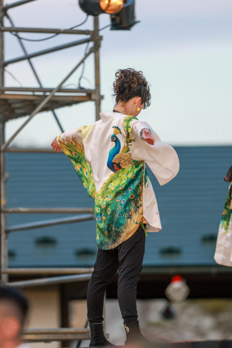 第52回江刺甚句まつり2025その2 2025/05/03