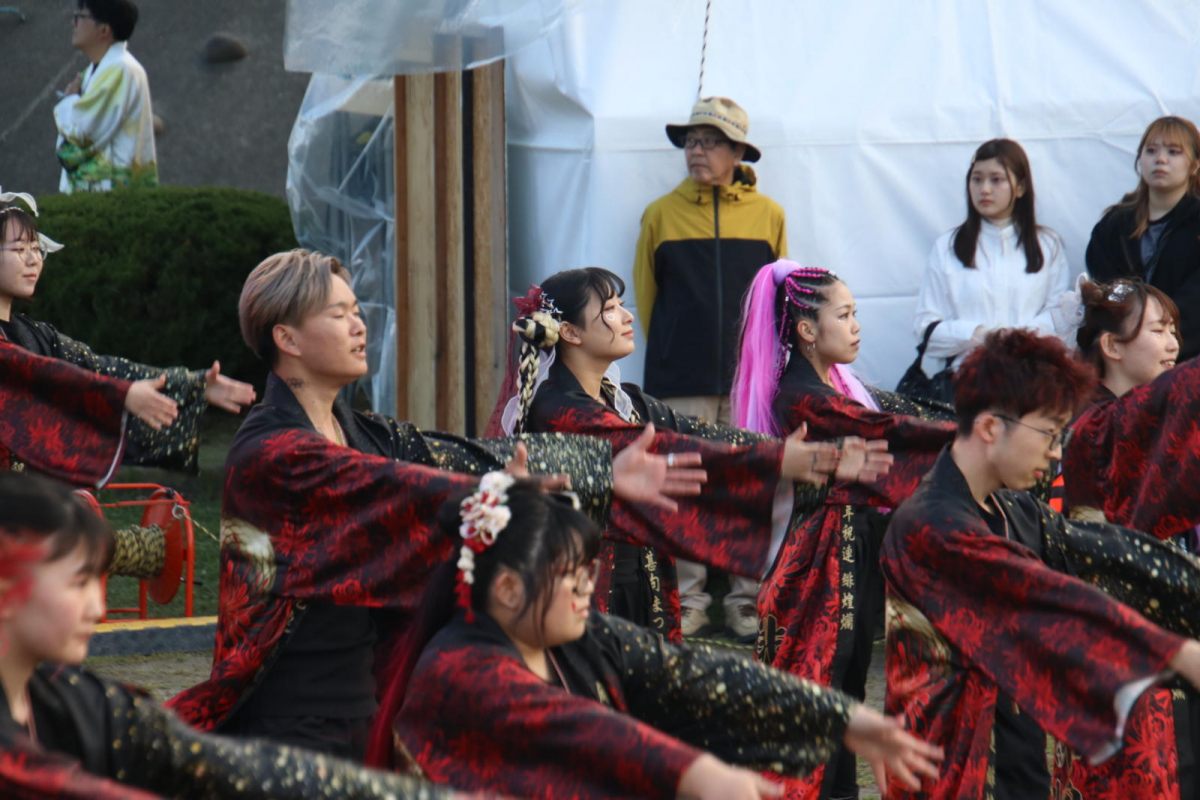 第52回江刺甚句まつり2025その3 2025/05/03