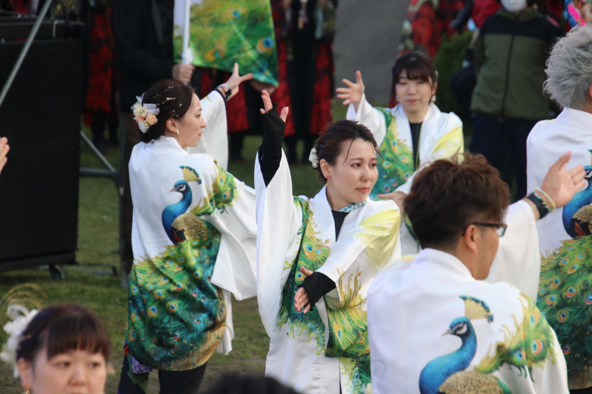 第52回江刺甚句まつり2025その3 2025/05/03