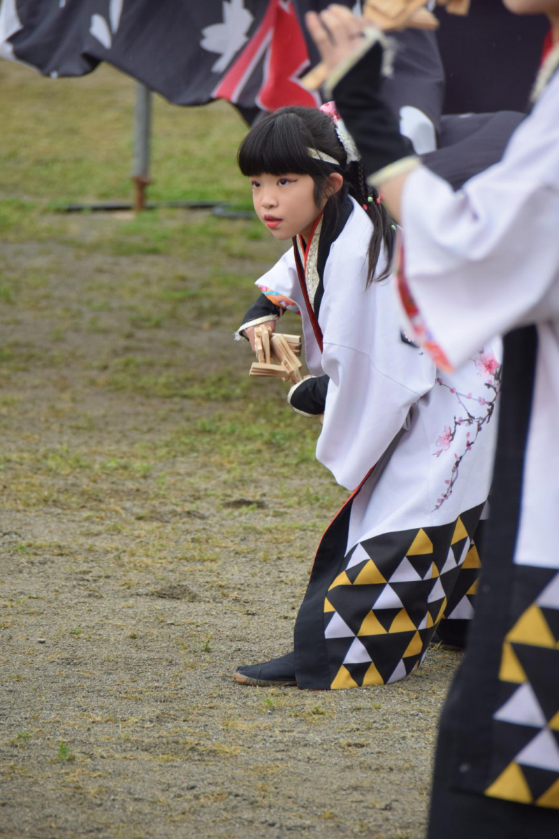 第52回江刺甚句まつり2025その4 2025/05/04