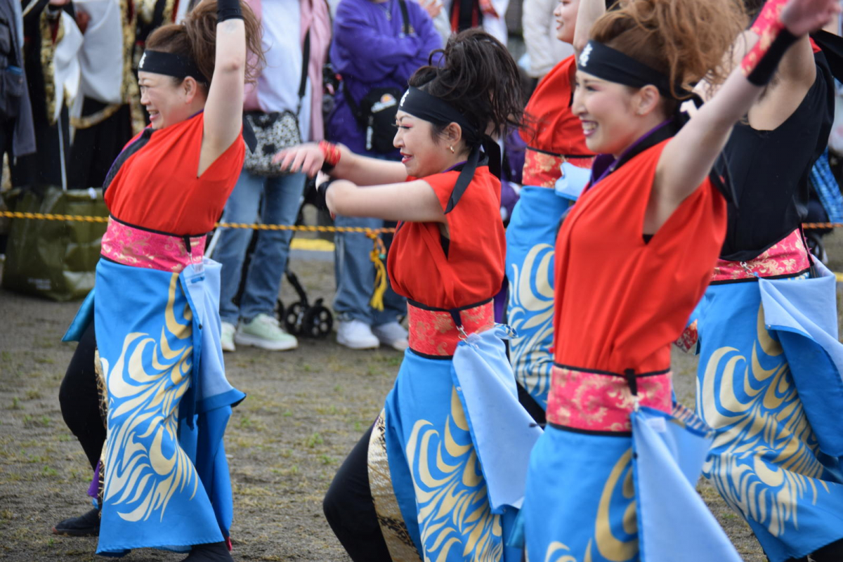 第52回江刺甚句まつり2025その4 2025/05/04