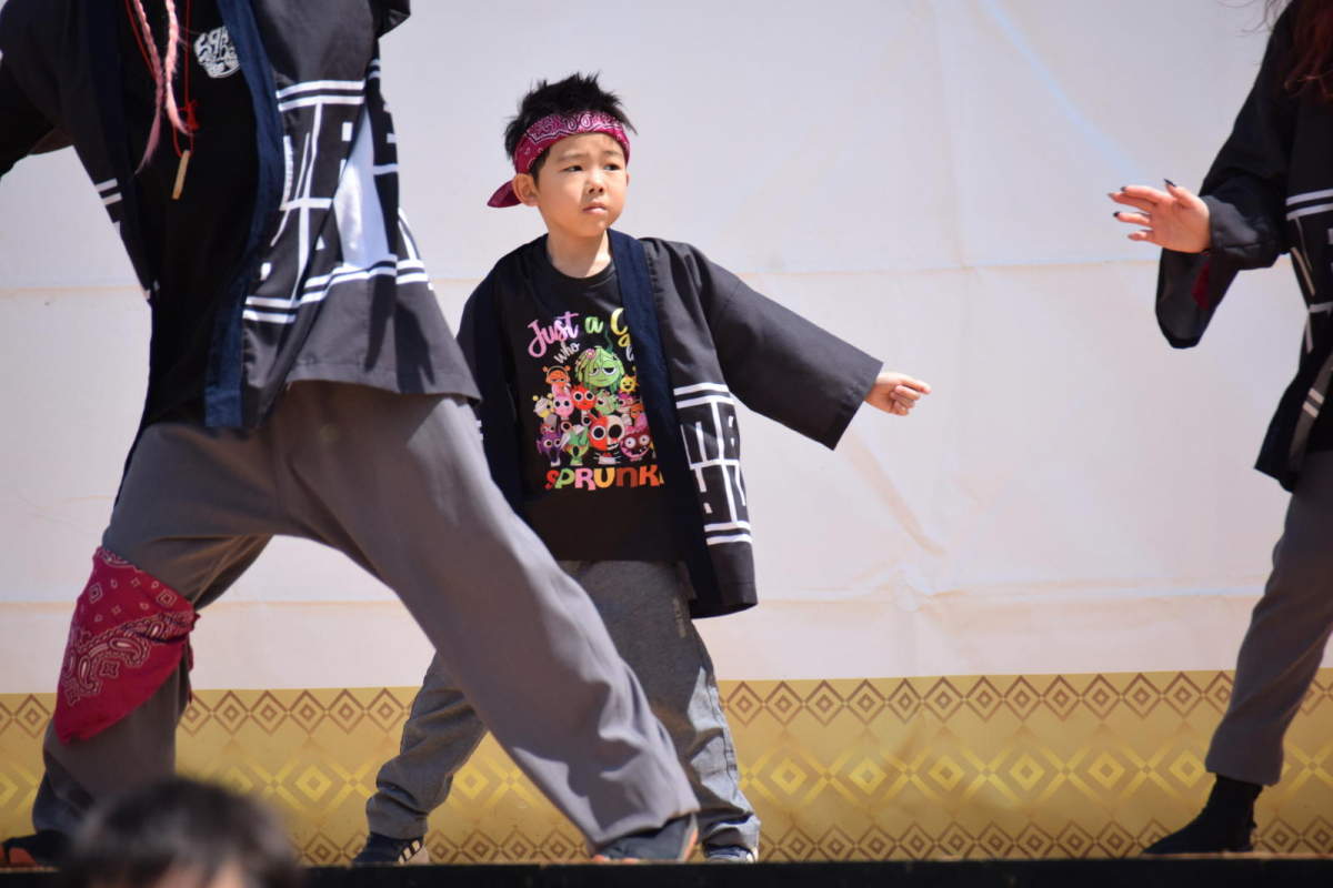 第52回江刺甚句まつり2025その4 2025/05/04