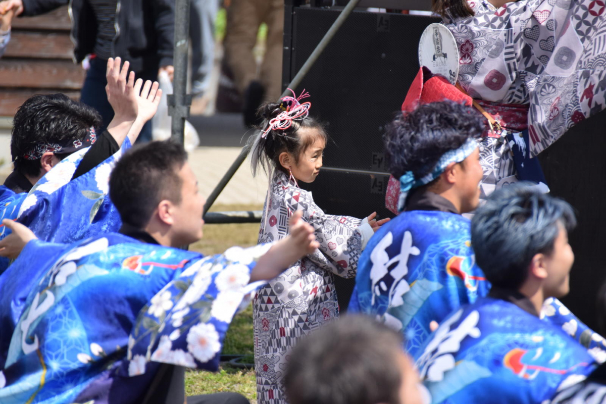 第52回江刺甚句まつり2025その4 2025/05/04