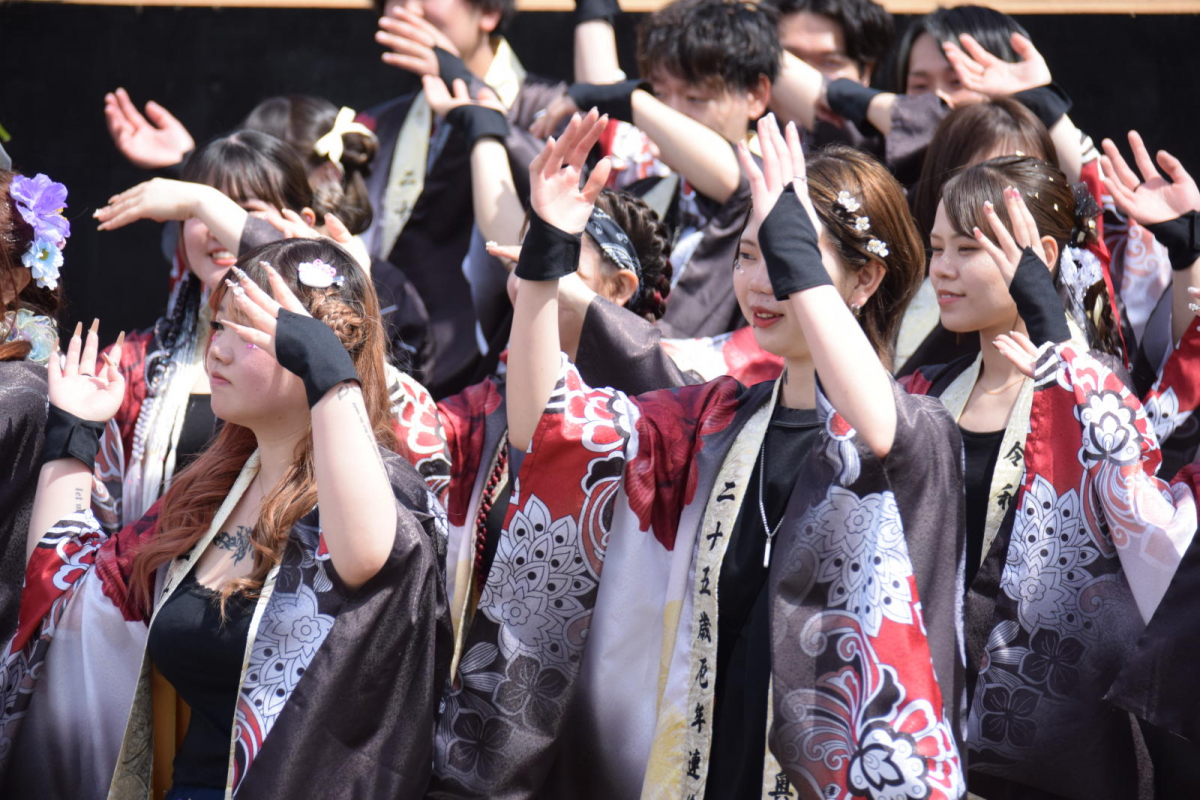 第52回江刺甚句まつり2025その4 2025/05/04