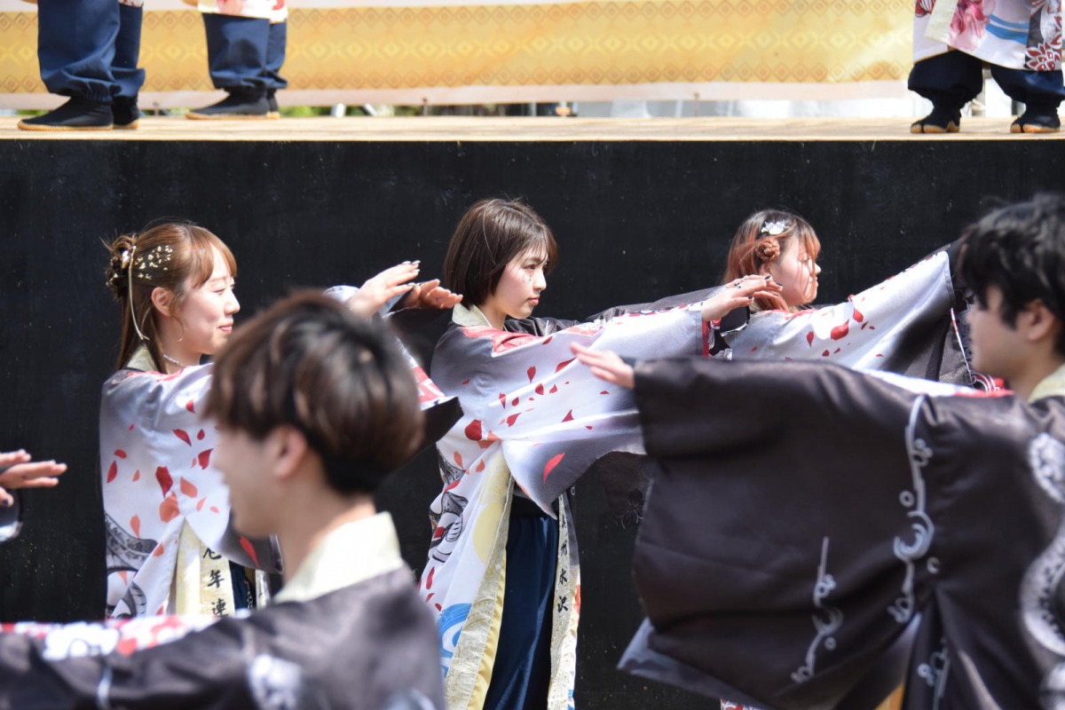 第52回江刺甚句まつり2025その4 2025/05/04