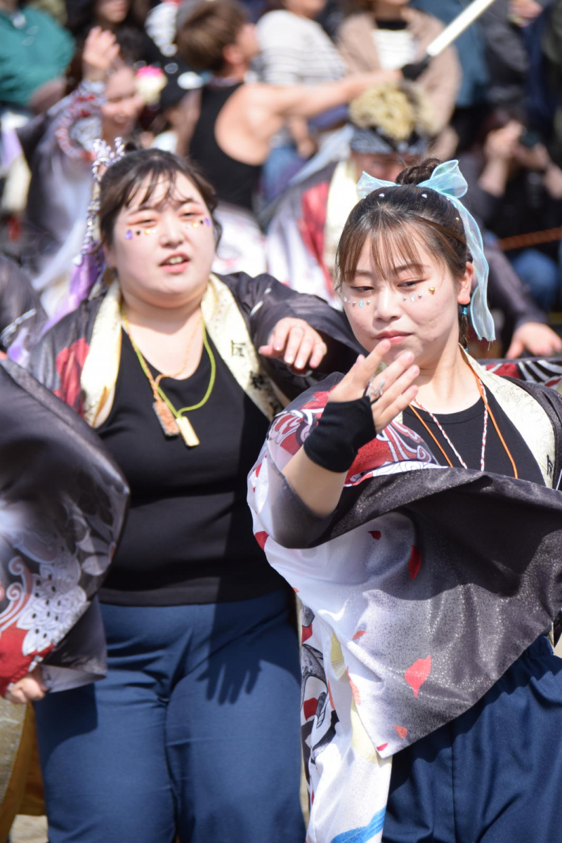 第52回江刺甚句まつり2025その4 2025/05/04