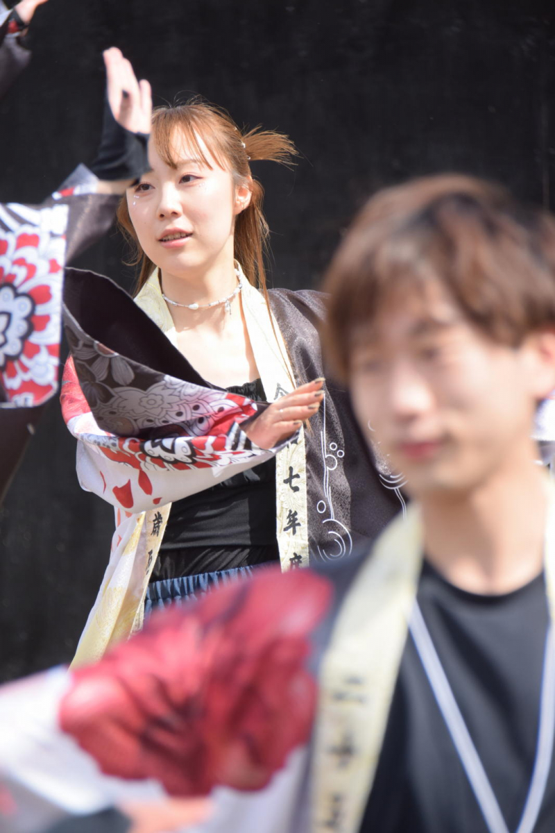 第52回江刺甚句まつり2025その4 2025/05/04