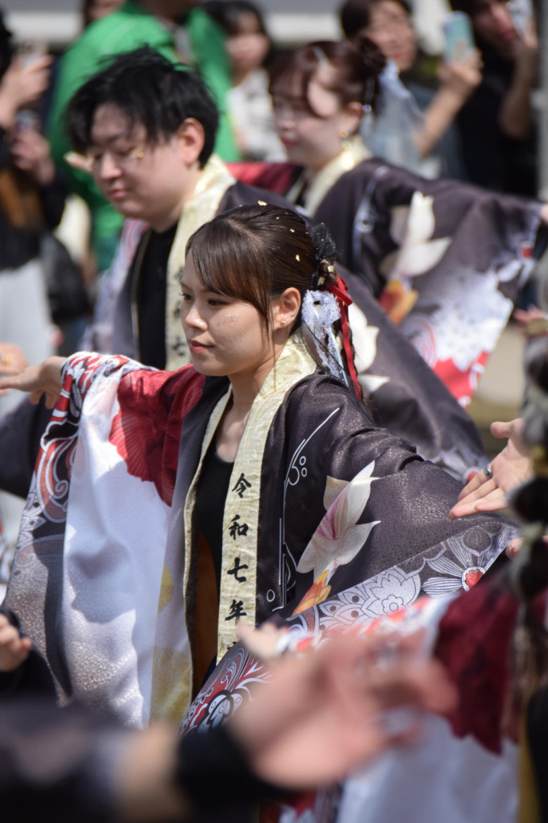 第52回江刺甚句まつり2025その4 2025/05/04